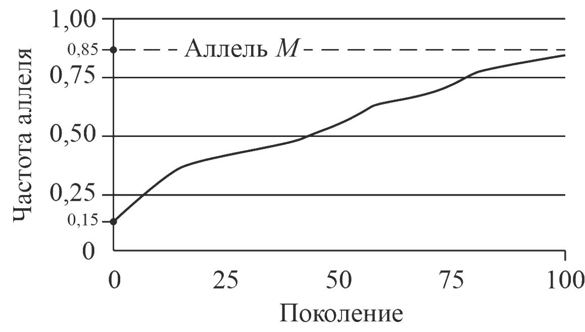 График частоты аллеля M по поколениям от 0 до 100: частота плавно растёт от 0,15 до 0,85